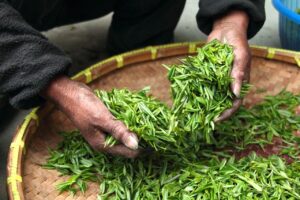 デリケートゾーンの黒ずみと乾燥を改善する方法は？