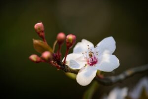 デリケートゾーンの黒ずみケアは何から始めるべき？