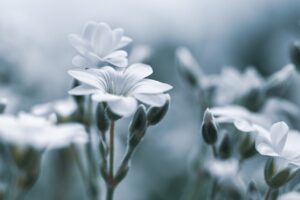 デリケートゾーンの黒ずみ改善がしやすい人の特徴は？